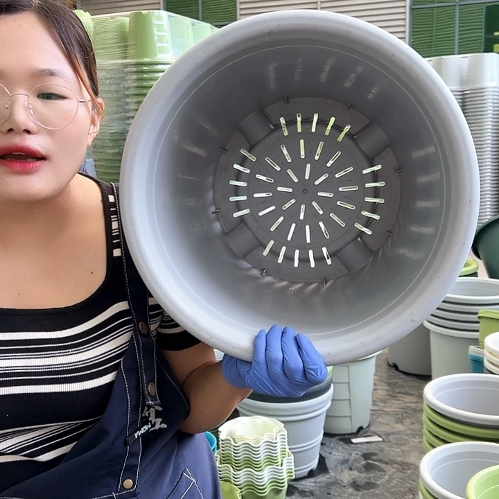 四季盆8#灰白色5个无托