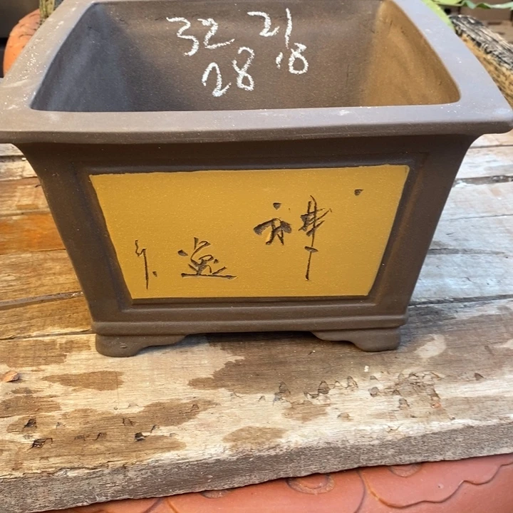 花盆紫砂我在上课你呢