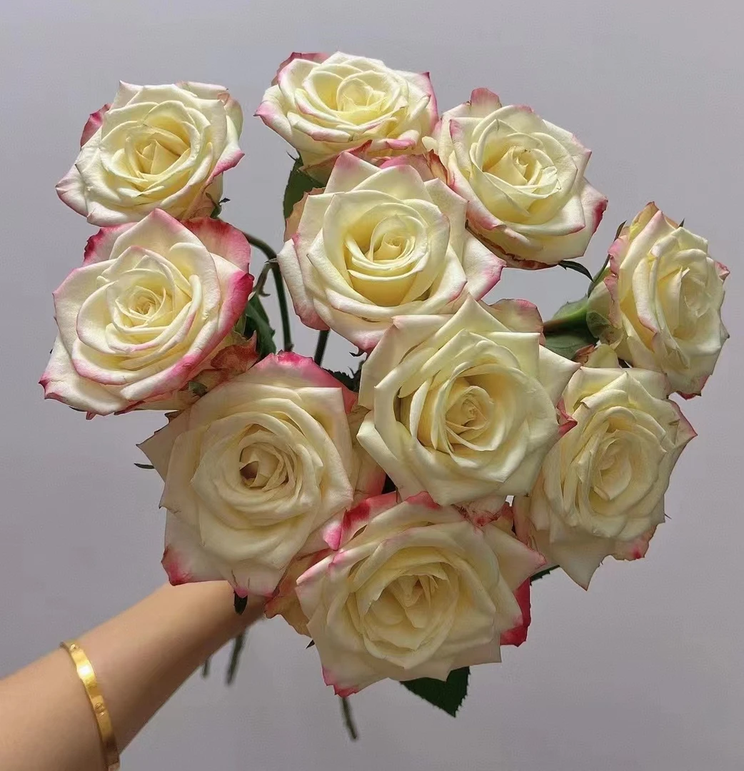 套餐51 方德小头艾莉森玫瑰10支+粉紫混菊3支+混色铃铛花一小把