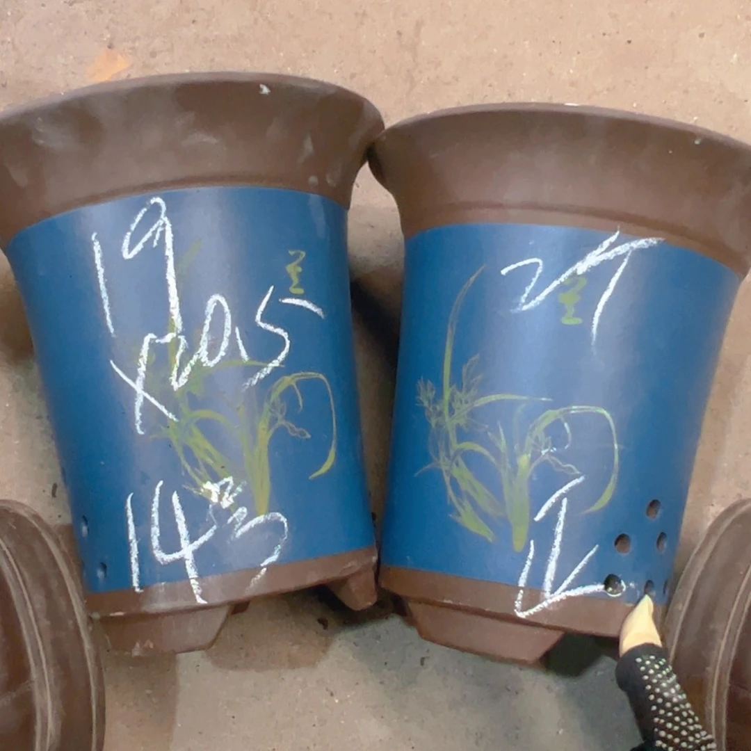 紫砂14……………………………………