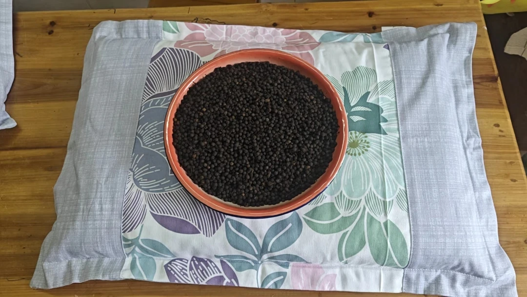 广东信宜山苍子枕头