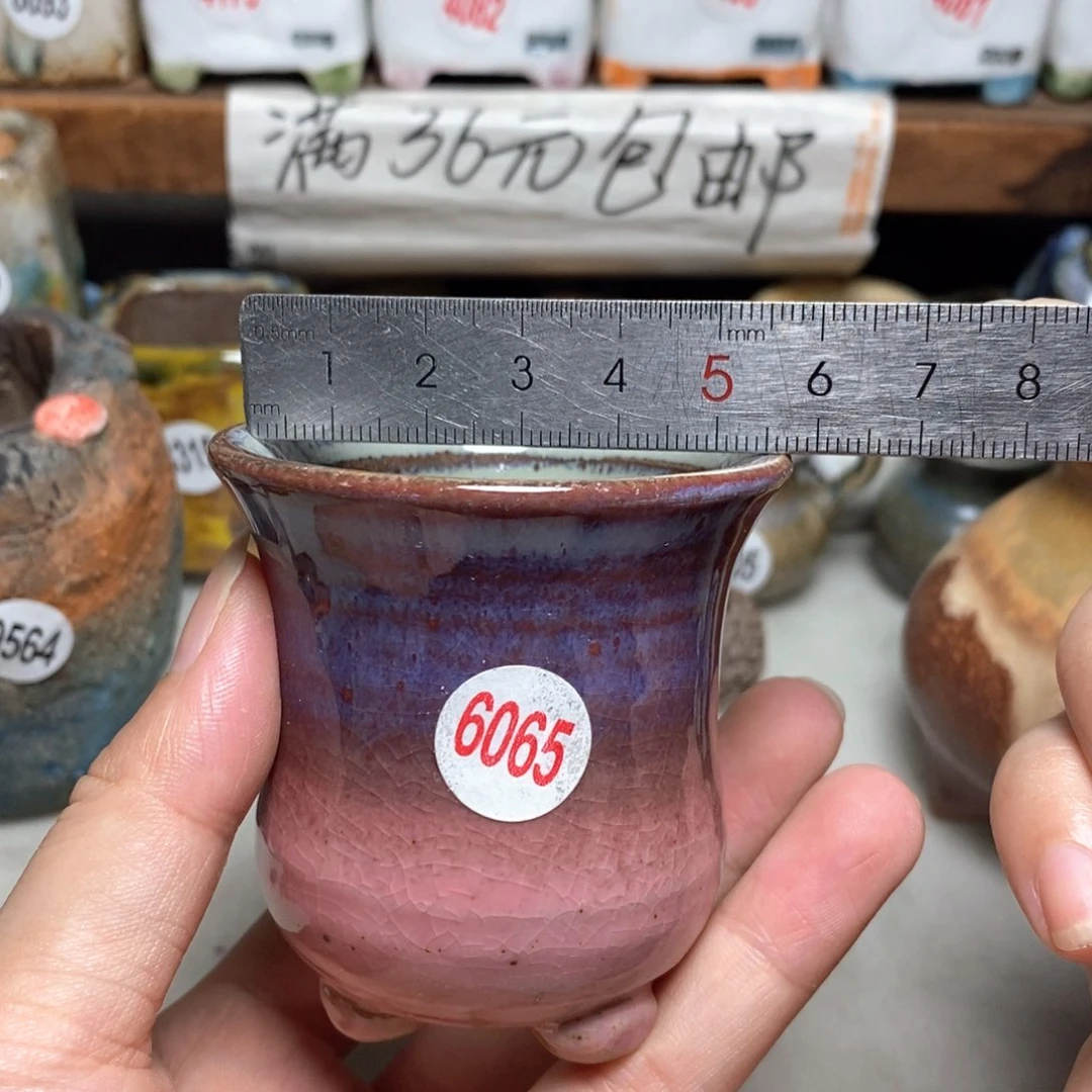 拍5送一个小礼物