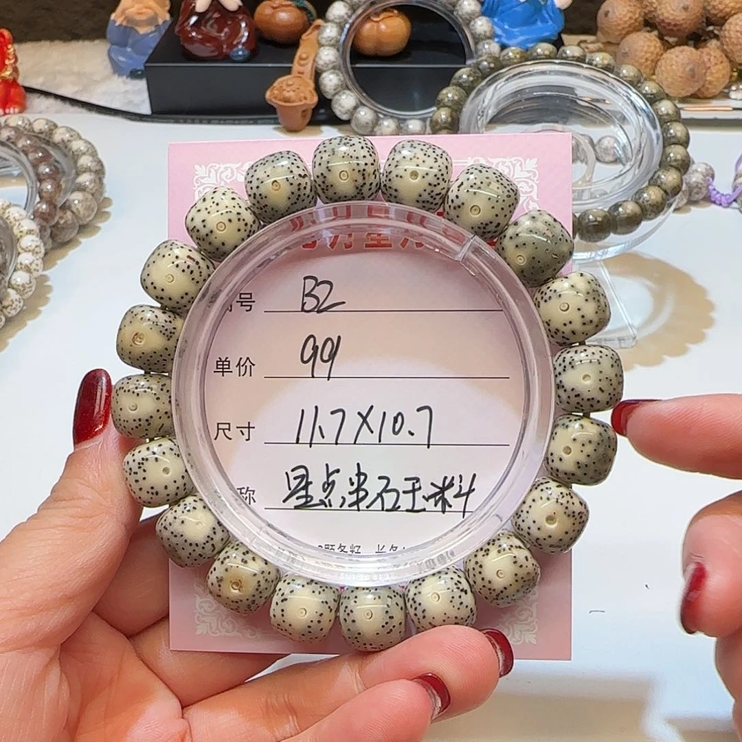 心月星月菩提一号B2