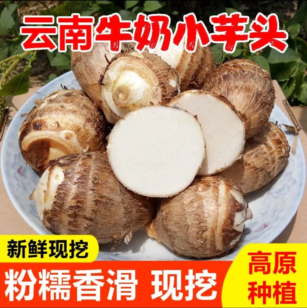 云南高山新鲜牛奶芋头软糯香甜粉滑应季蔬菜