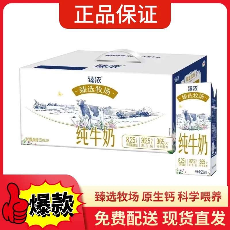 9月份伊利臻浓臻选牧场250ml*12