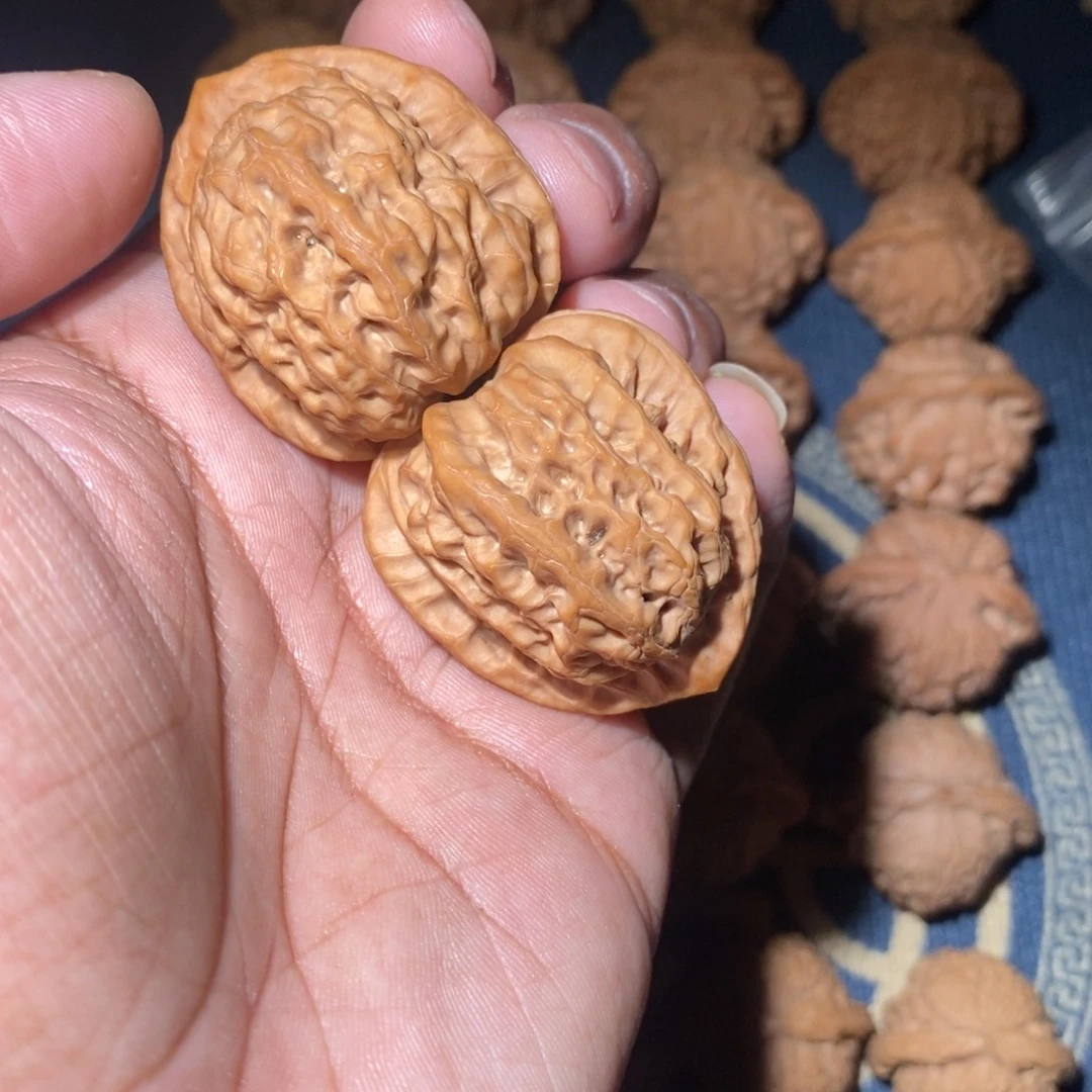 文玩核桃吊坠36尺寸蓟县佛肚