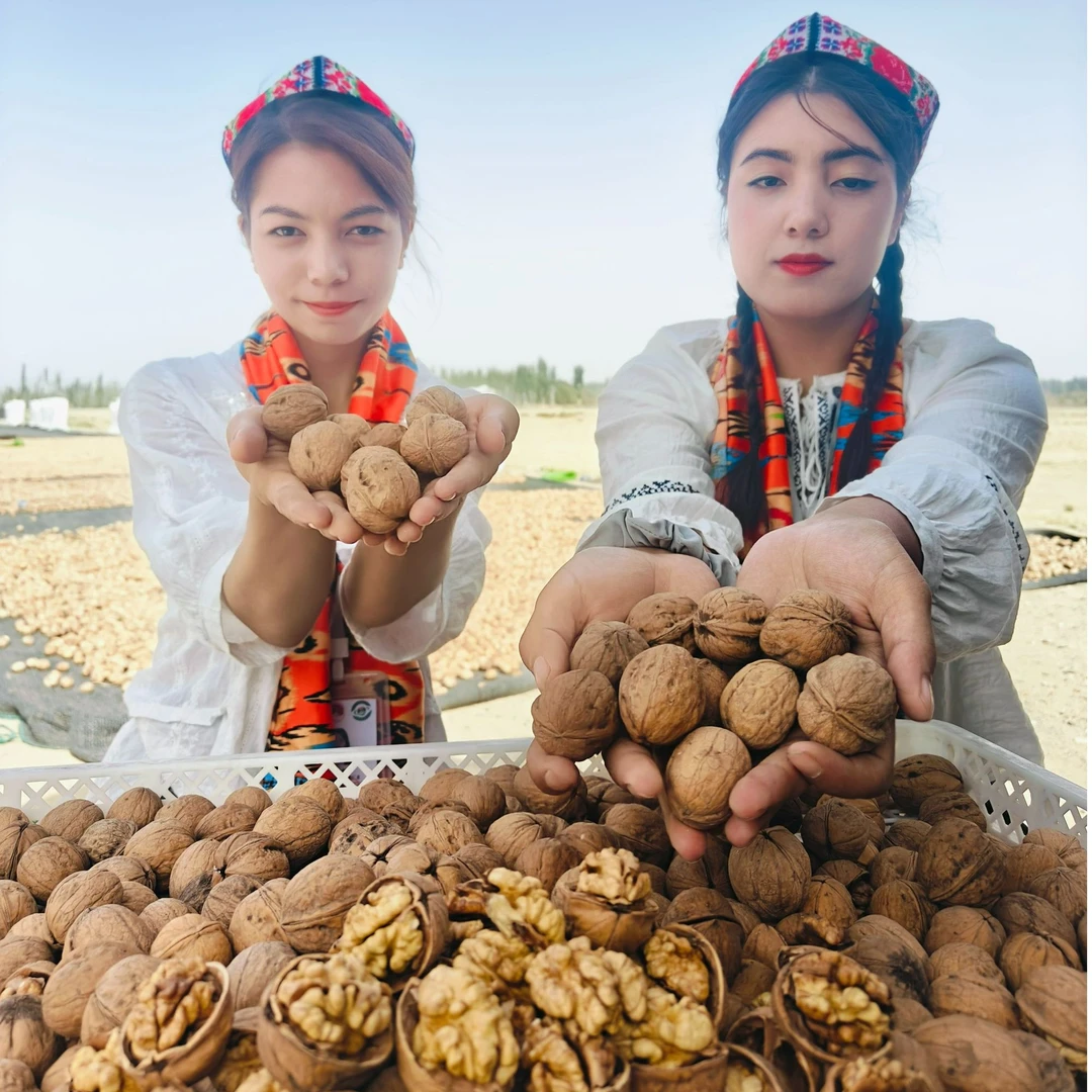 【品尝价贵在运费】 中国核桃之乡新疆185纸皮核桃新货