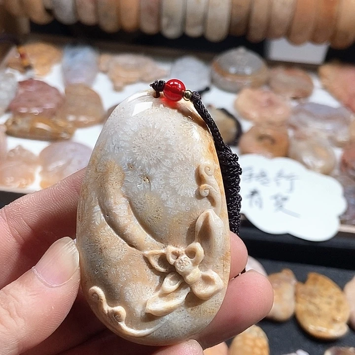 颈饰未镶嵌硅化珊瑚（珊瑚玉）