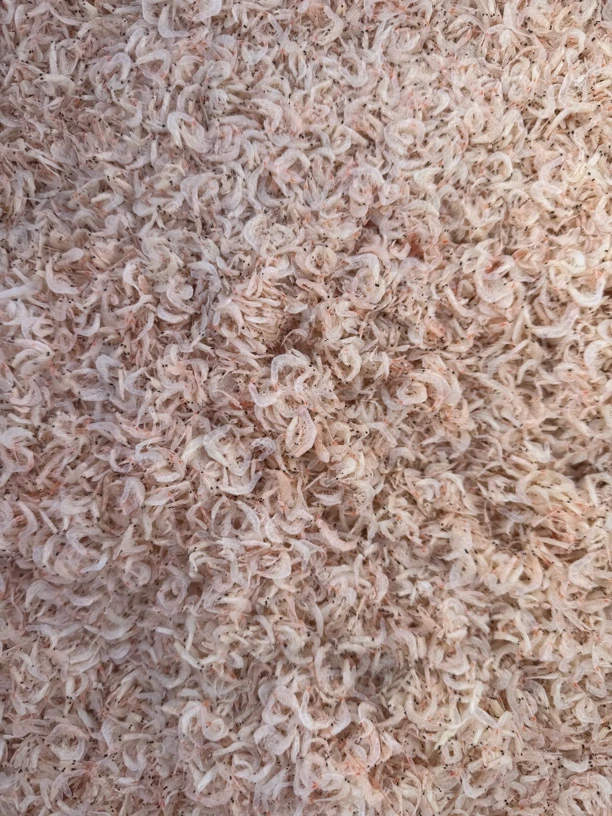 原味淡干虾皮提鲜煲汤做馅海鲜水产干货