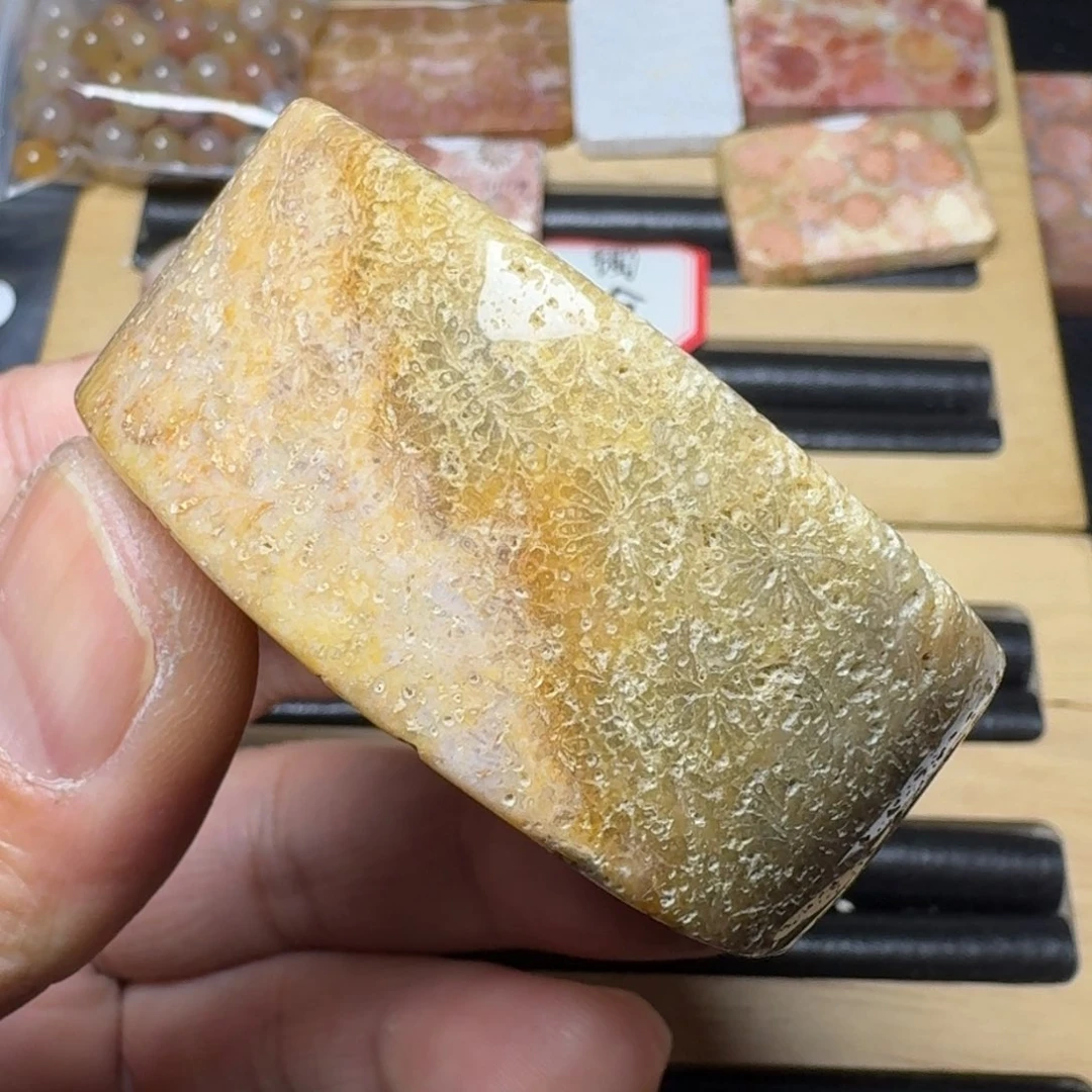 硅化玉纯天然色有机玉石手镯芯未镶嵌
