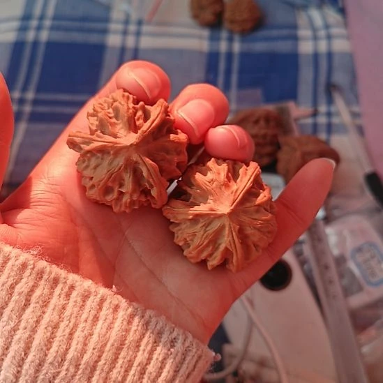 蘑***菇岐山文玩核桃38左右的