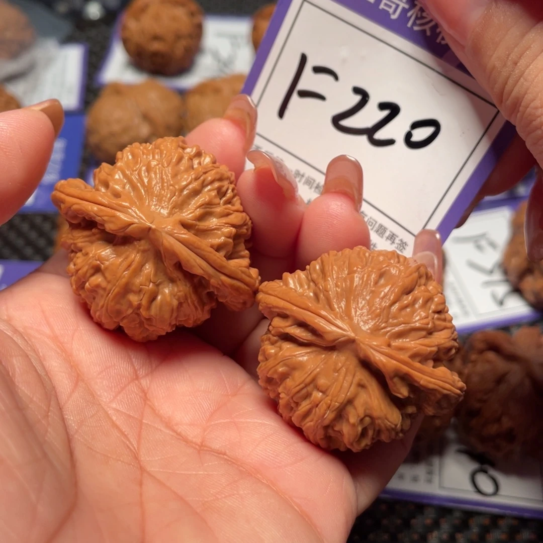 把件桃核220号白狮子40