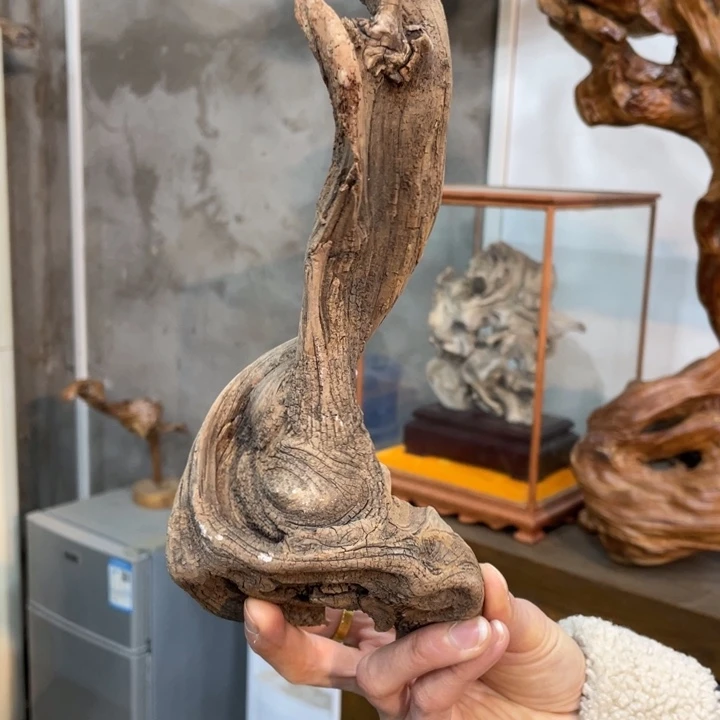 山*鹰我们都是好孩子呀