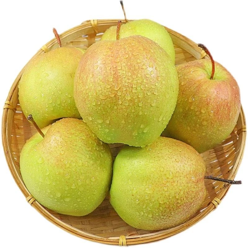 【京东生鲜】山西正宗玉露香梨现摘现发脆甜无渣