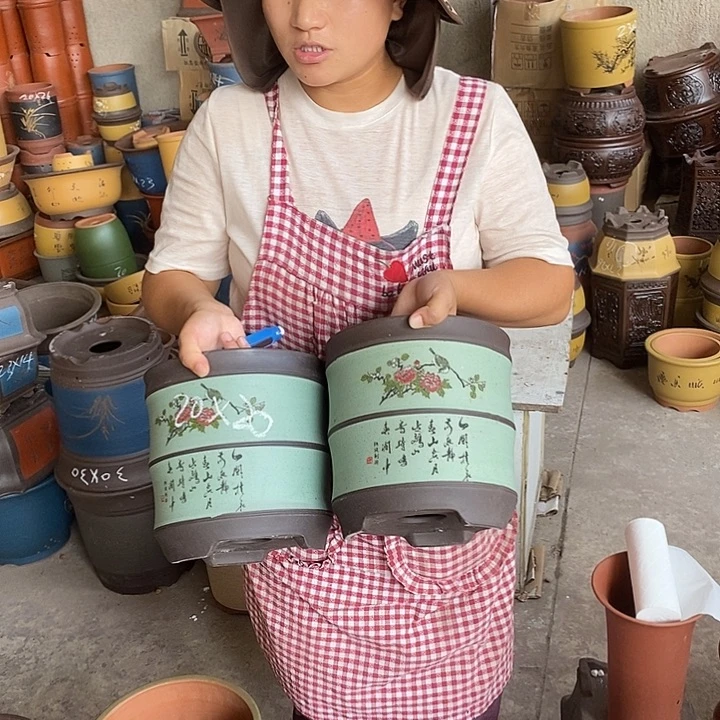 紫砂花盆盆栽植物花卉苗木种植