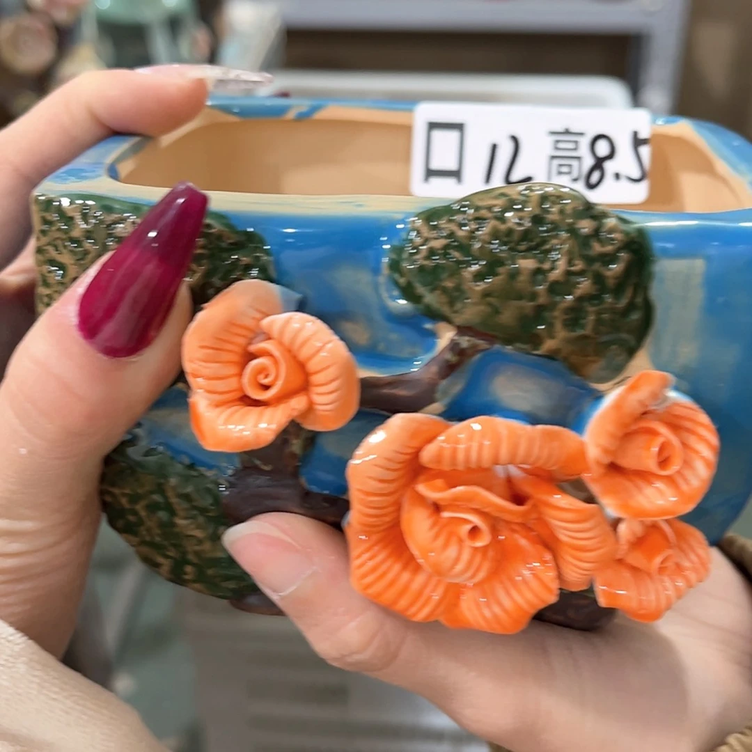 【闪购商品】红陶福利