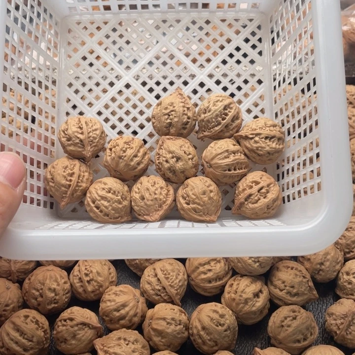 【闪购商品】核桃其他私人定制60米打孔不退不换