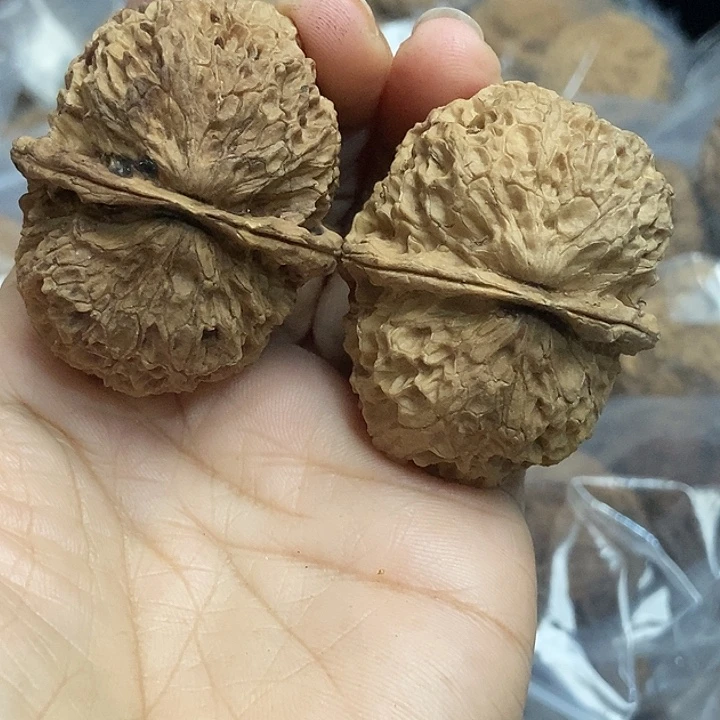 木质类云南铁核桃+22