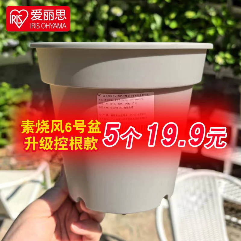 【鄢师傅专属分享】5个装爱丽思素烧风6号花盆浅灰色新品