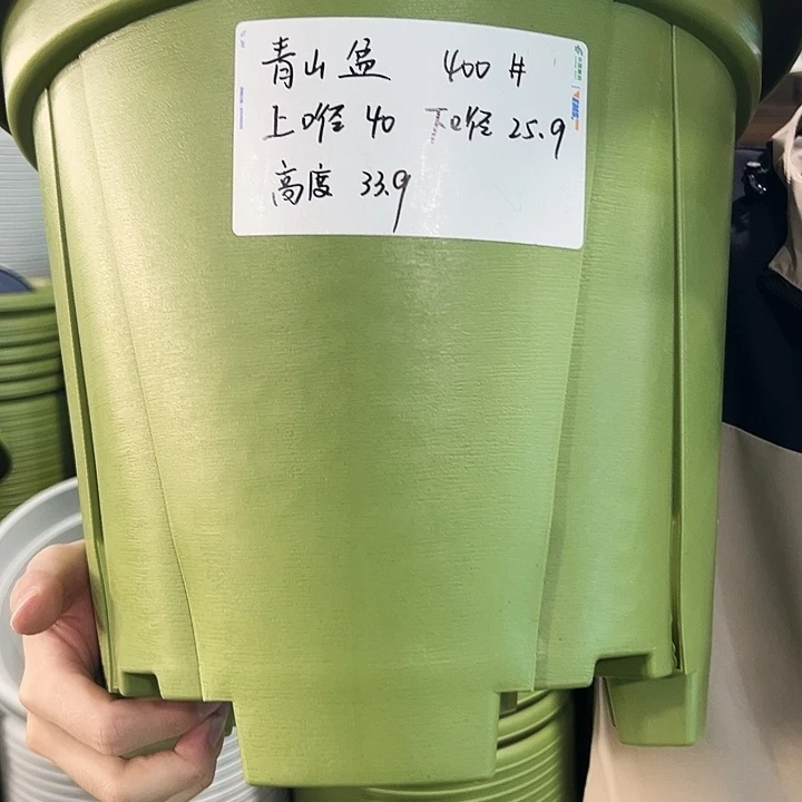 正品青山口40高34果绿无托5只