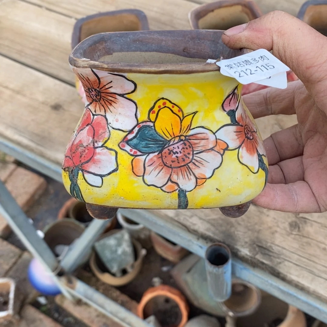 ?****#115号多肉盆一个呀