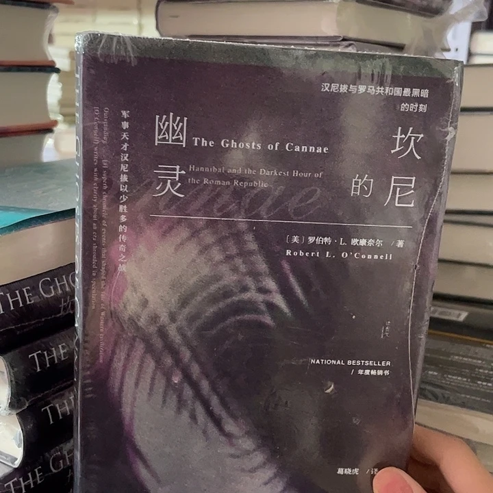 坎尼的幽灵微瑕微瑕
