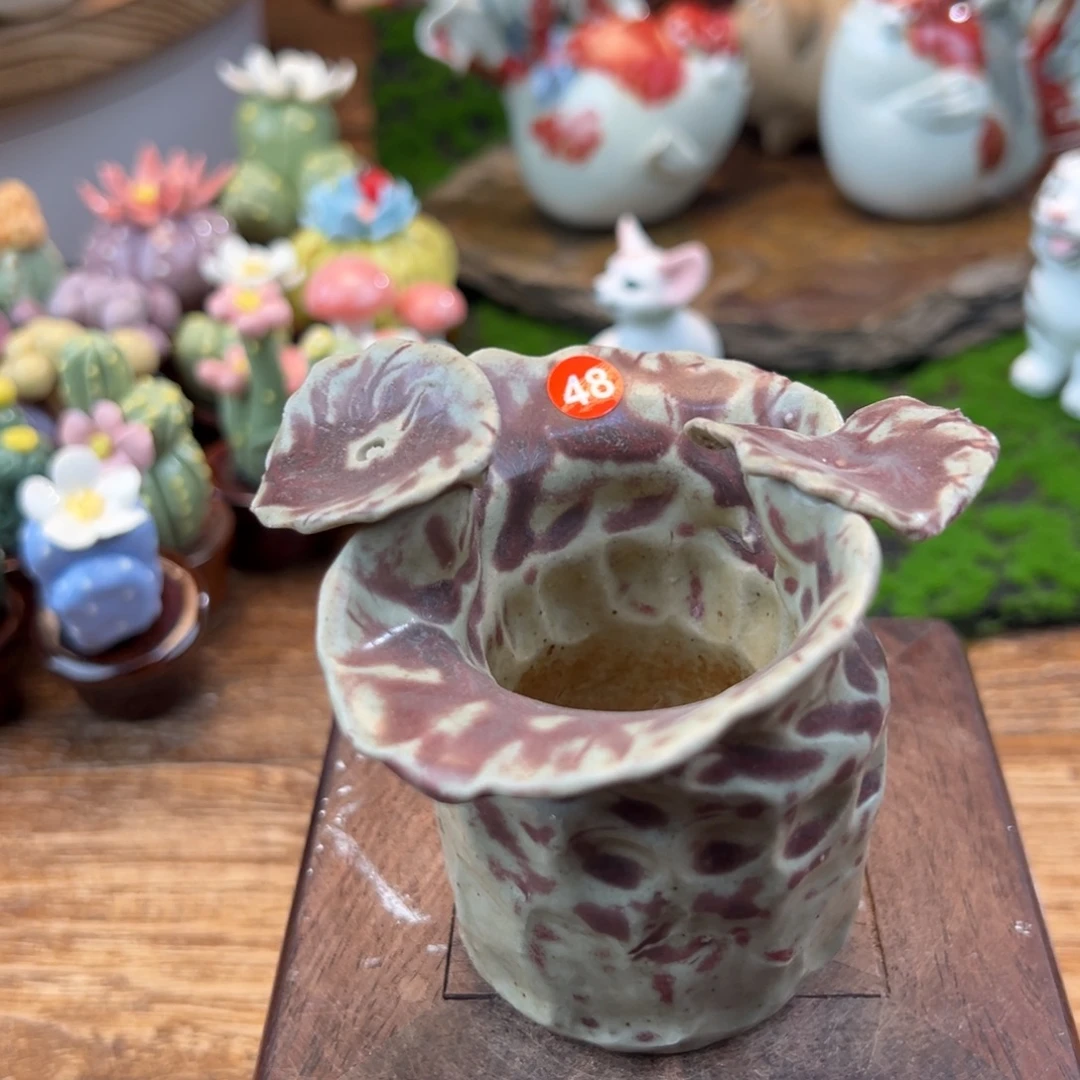 小镇青花每日有新品