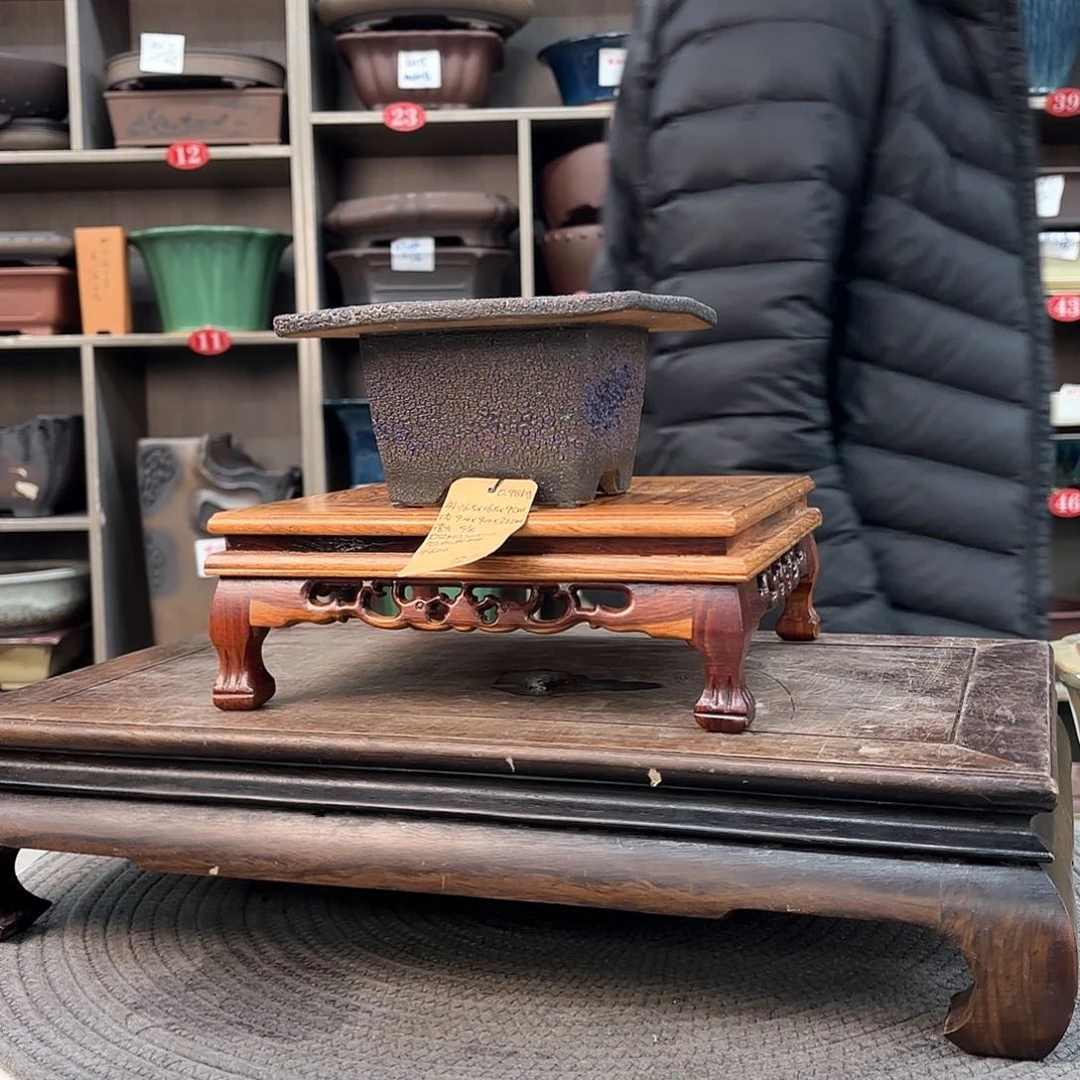 紫砂花盆树*紫砂的颜色很好看