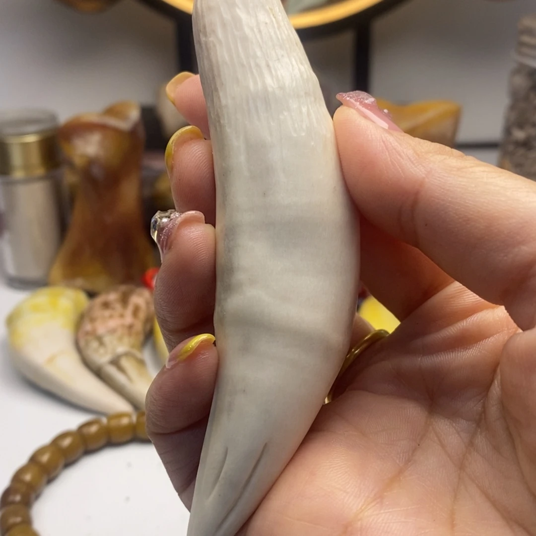 骆驼牙把件04 10➕白