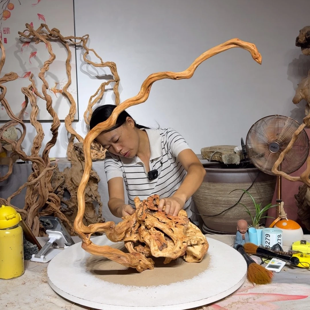 菲***)杜鹃根艺术品展示