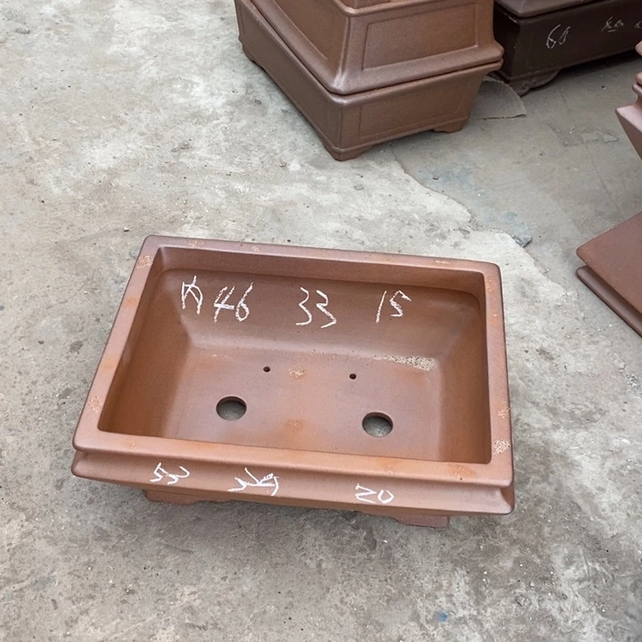 紫砂花盆只顾看电视