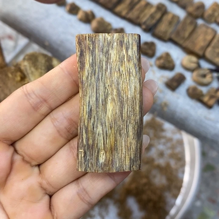 沉香碎屑沉香9.3克陆河老料