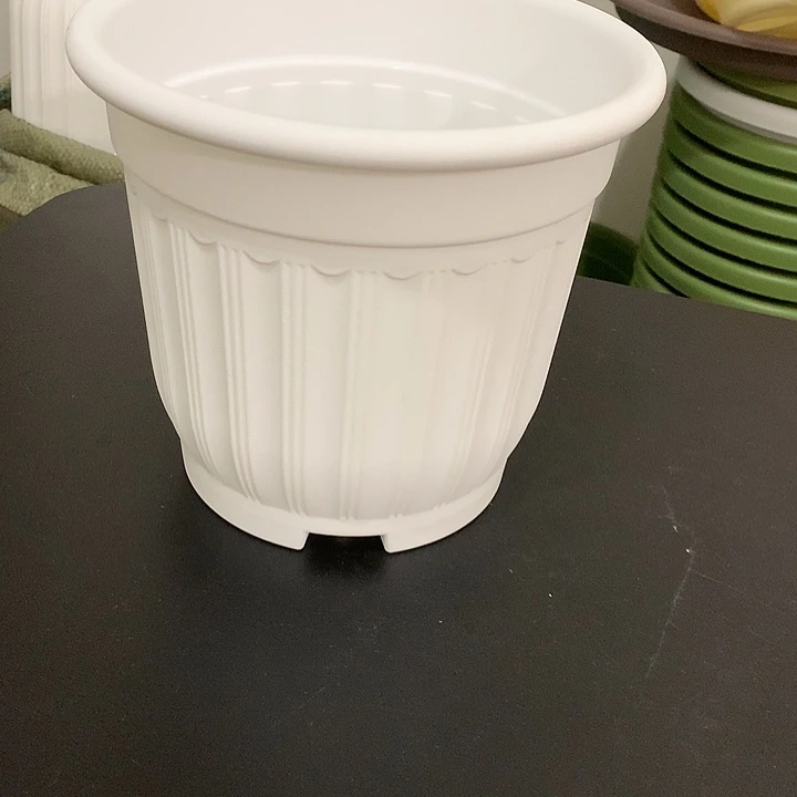 罗马口18高16白5个