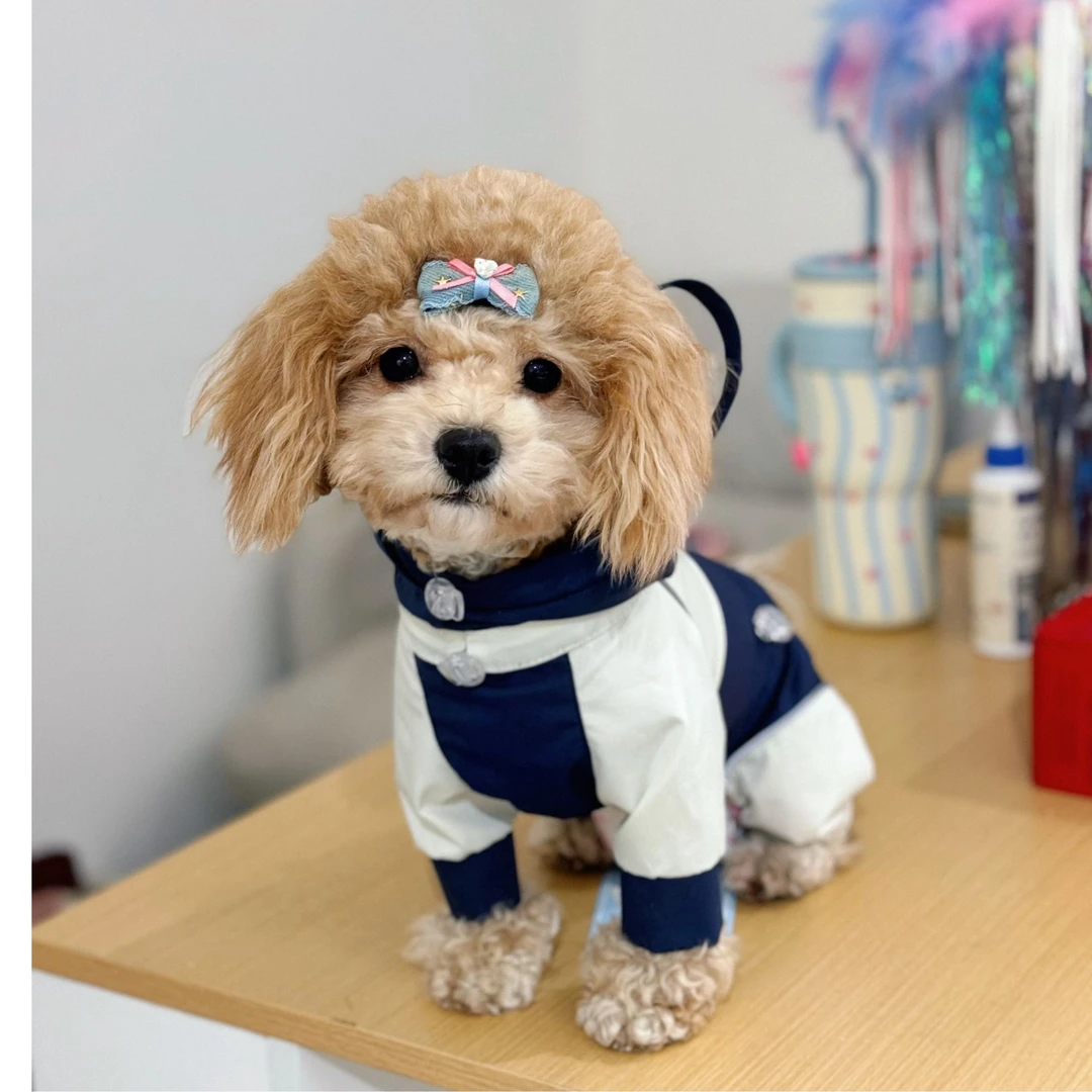 户外连帽四腿雨衣