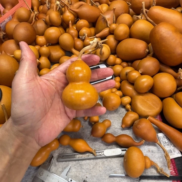 董***秀董优秀的一把一把一把一把葫芦