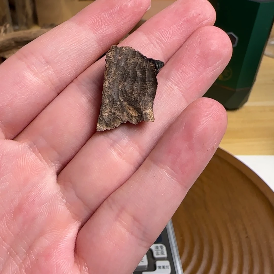 海南壳子沉香沉香0.5克