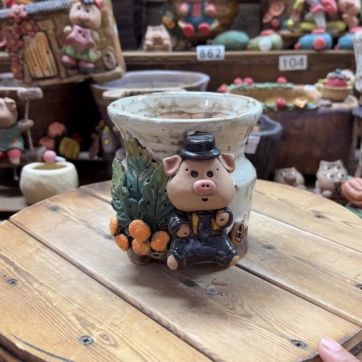 嘻哈多肉花盆百搭
