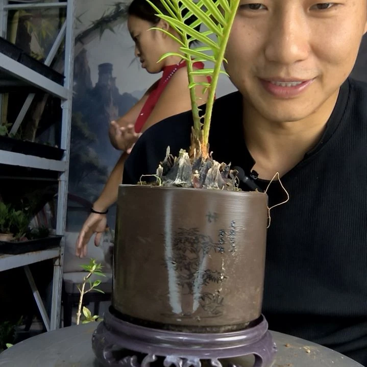 哈****O中青园艺一物一拍77