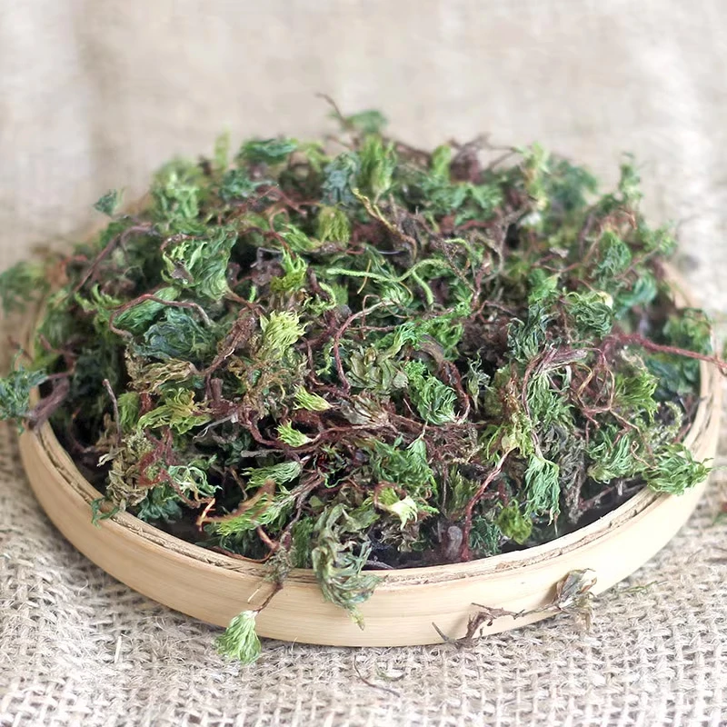 山货土特产初级冲泡食用农产品同心草