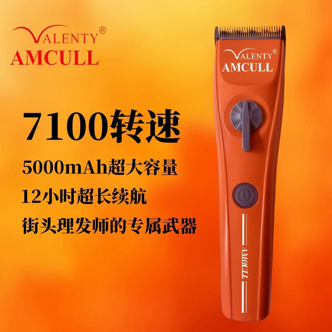 利桥潮牌818电推剪待机12小时发廊家用USB充电式理发器