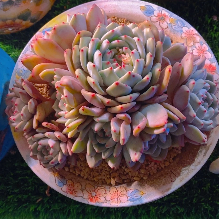 【闪购商品】㒳11111