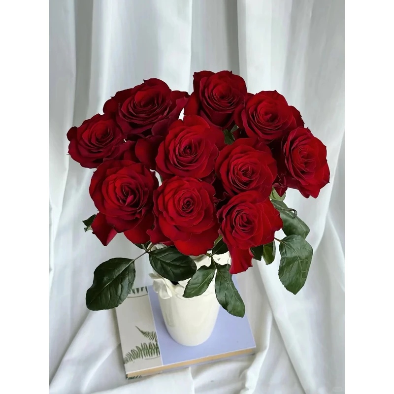 【清新花卉】20支高原红玫瑰   一单包邮 云南鲜花昆明基地现采现发