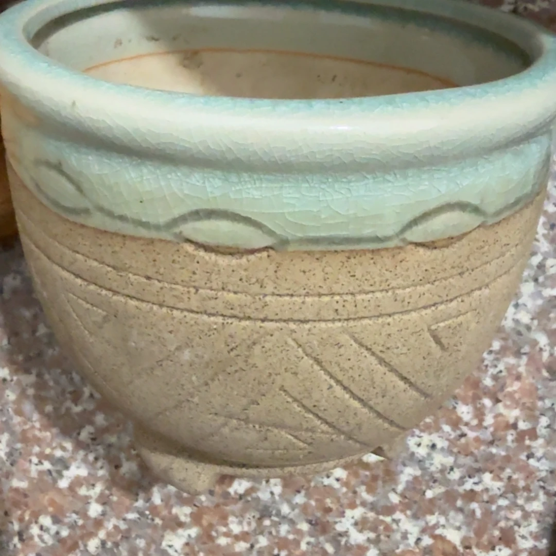 杨***3杂色豆（科檀/科特迪瓦檀木）