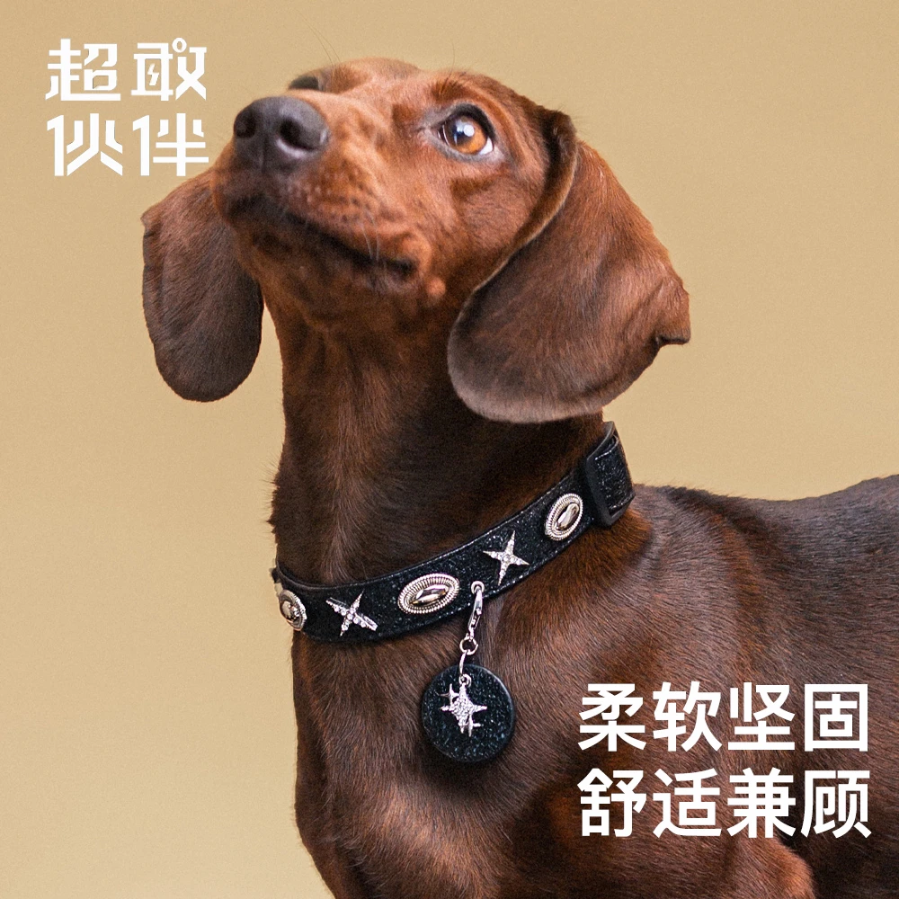 【超敢伙伴】耀夜白星宠物项圈黑色亮闪星中小幼型犬猫通用可牵引
