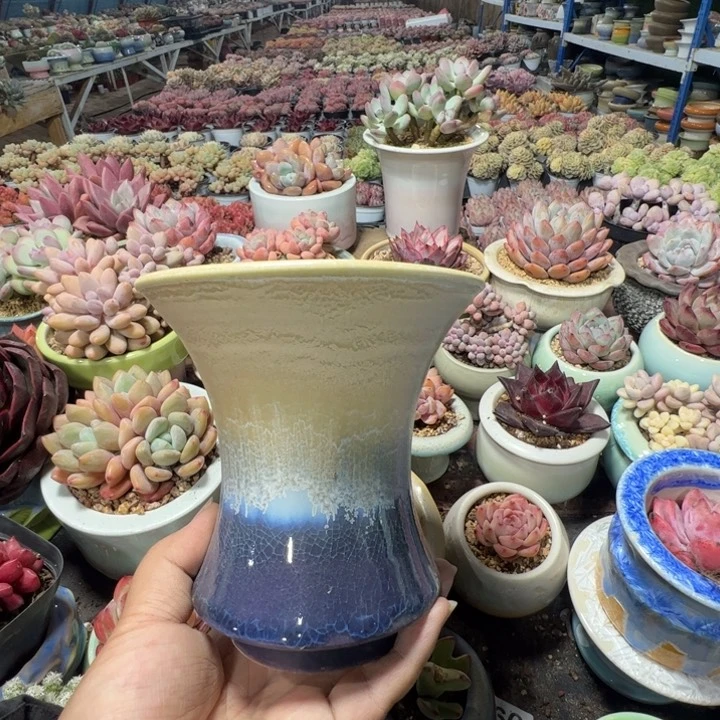 特价花盆满50发货 内口11