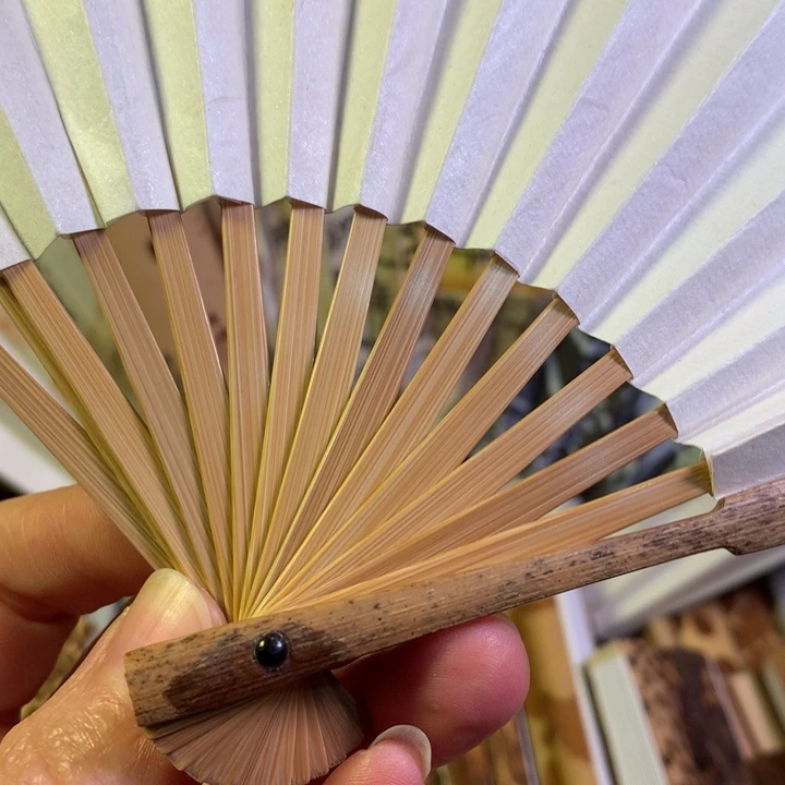 扇子福****泽福建红湘妃5/15/1.5