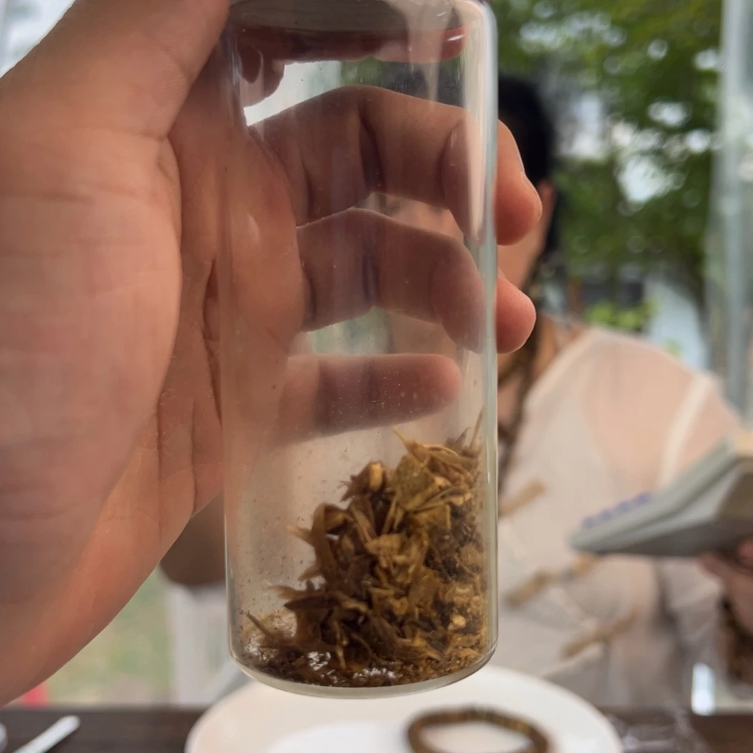 沉香手串d003沉香1.0药片单圈12+多样性发一