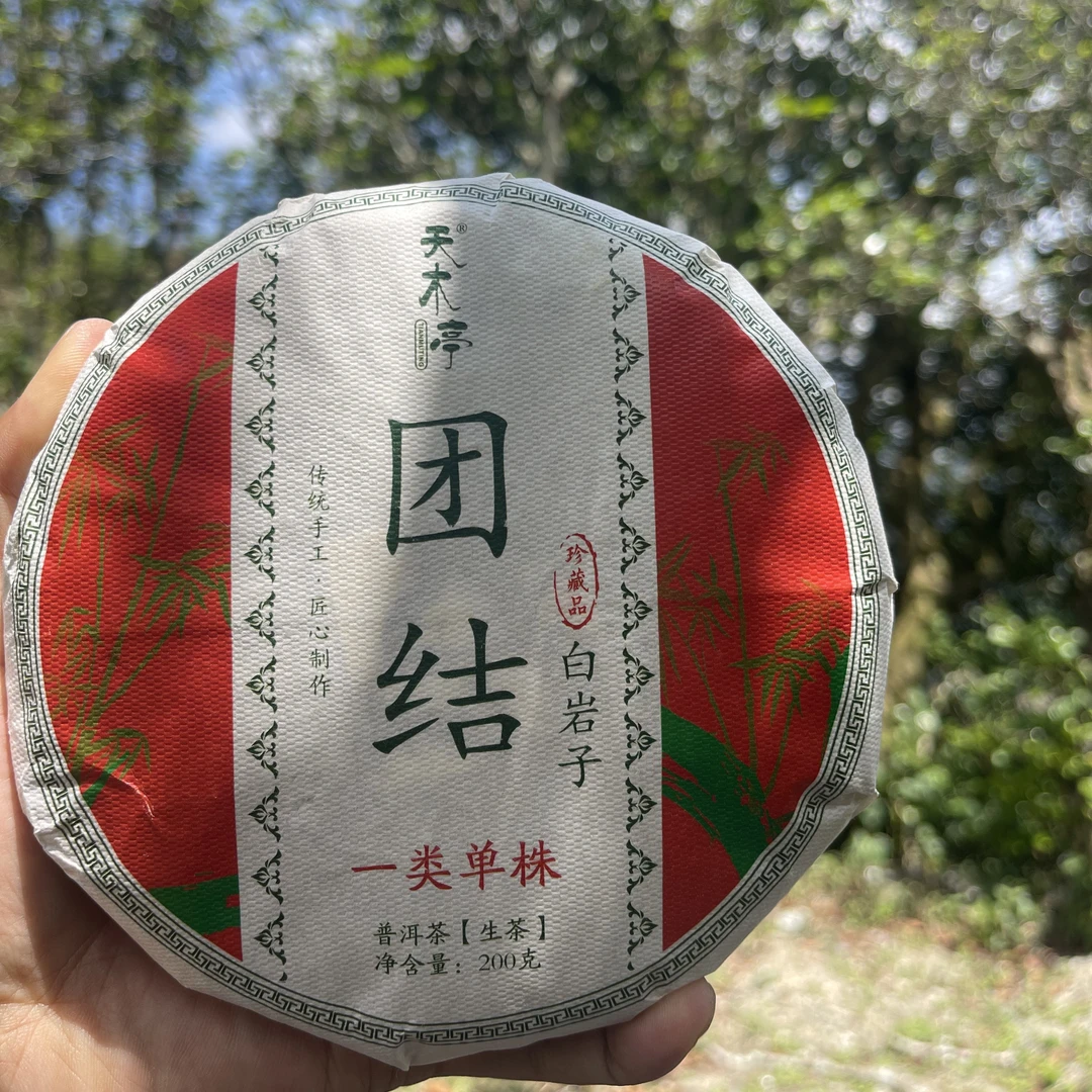 【情绪价值】2025年团结白岩子一类大单株古树生茶宠粉惊喜