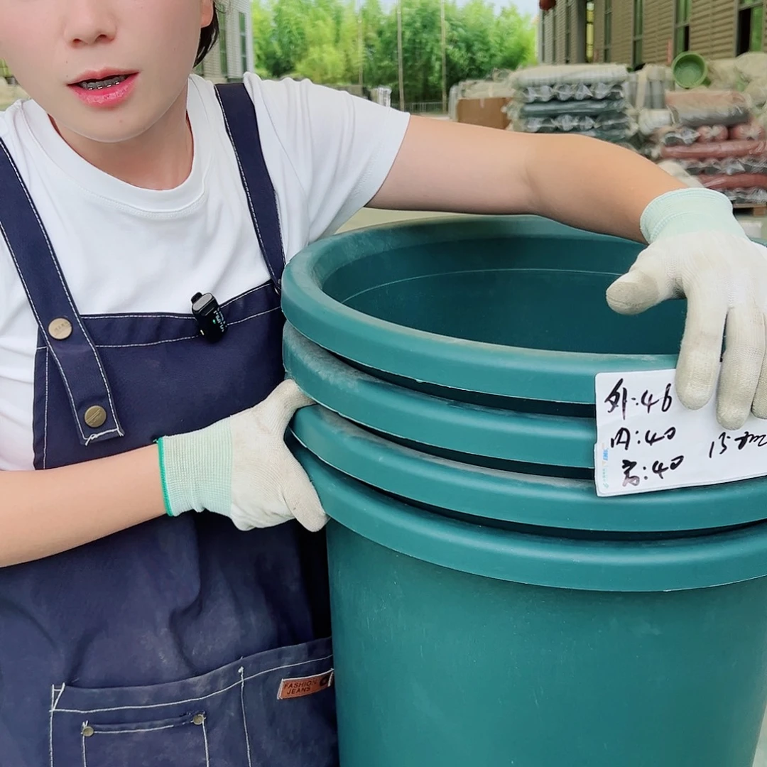 四季盆9#墨绿4个无托