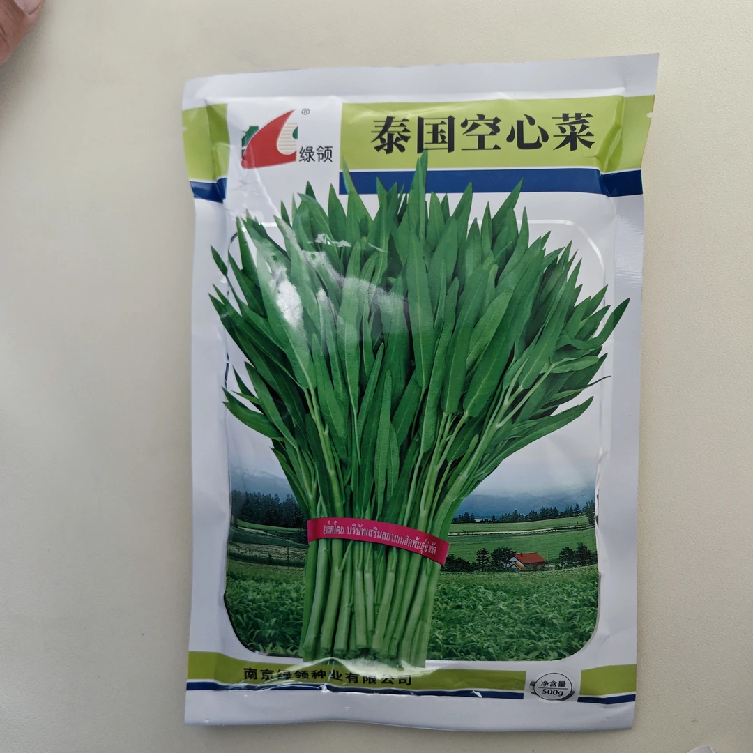 空心菜速生高产中叶柳叶淡青梗蕹菜小叶青杆通心菜种子籽